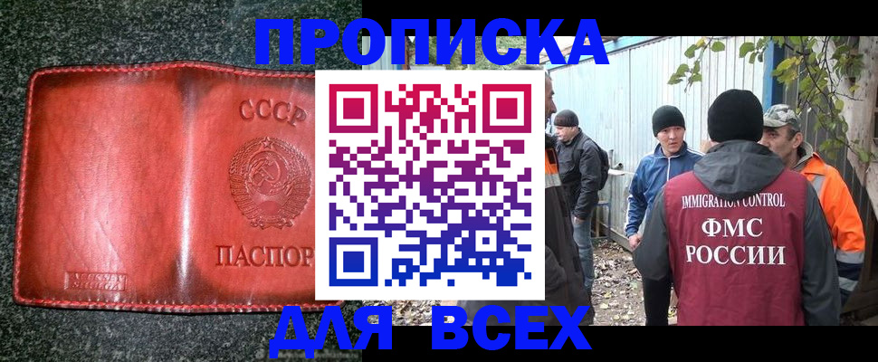 временная регистрация поиск в Кингисеппе